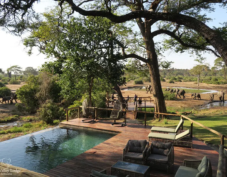Elephant Valley Lodge pool deck ellies