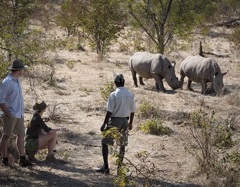 Thorntree River Lodge Mosi Oa Tunya National Park Zambia 16 1