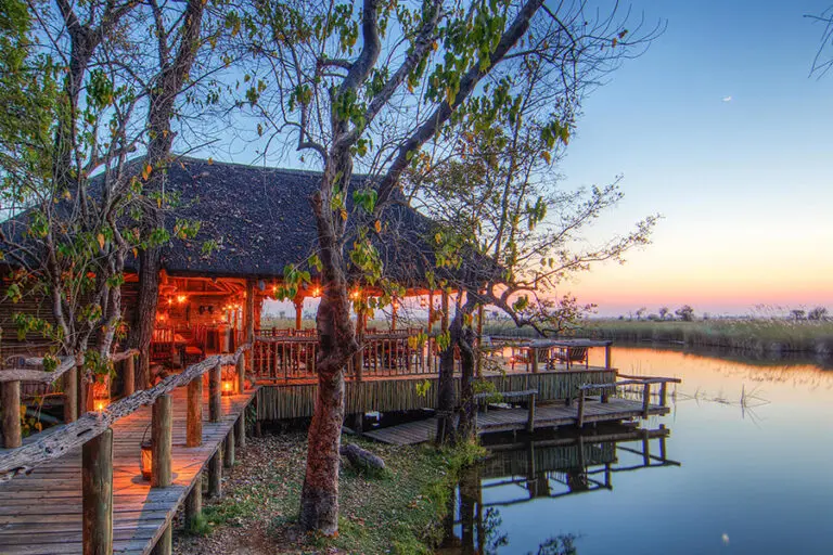 Camp Xakanaxa in the Moremi Game Reserve 1 1