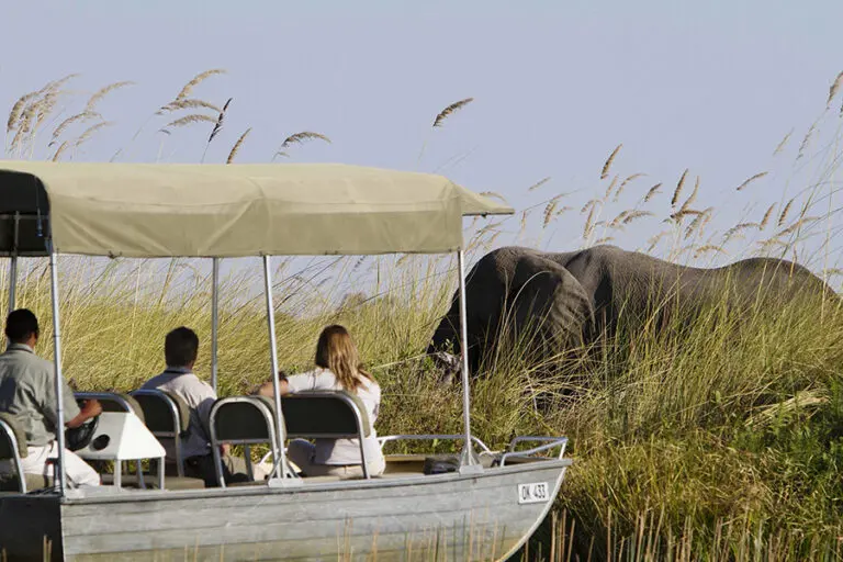 Camp Xakanaxa Motorboat trip in the heart of the Moremi Game Reserve 1