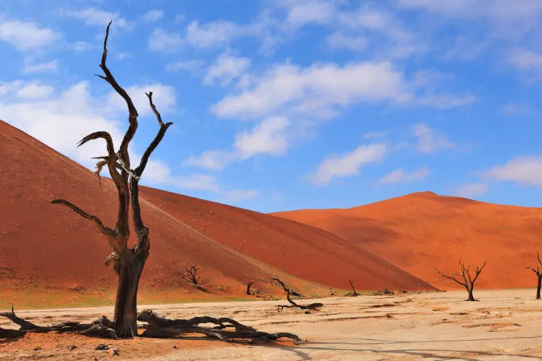 Sossusvlei Lodge deadvlei 1