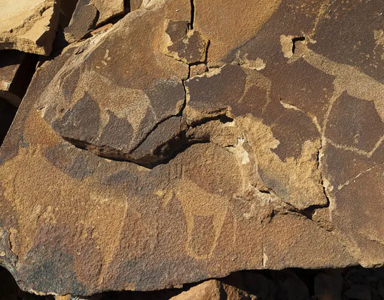 Wilderness Damaraland Camp rock art