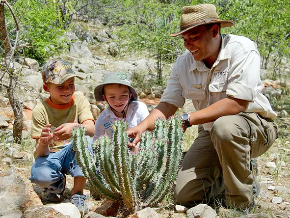 Ongava activities