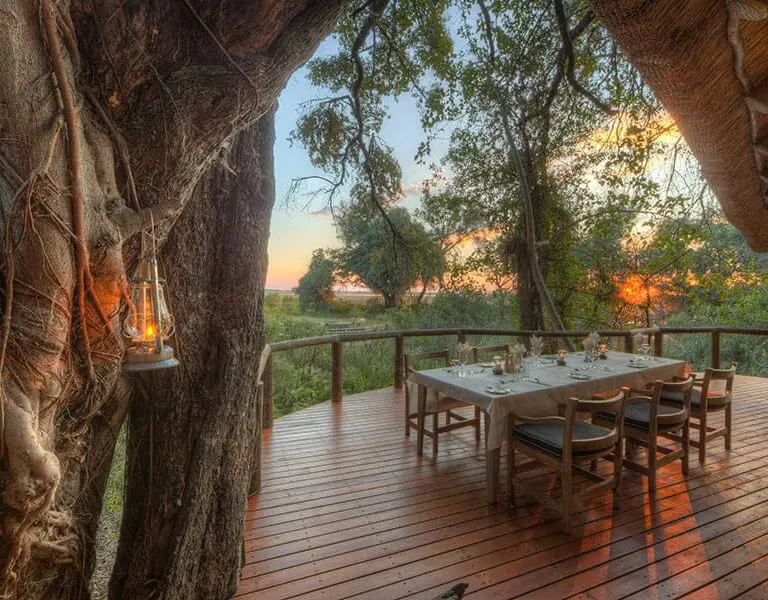 Camp Moremi Outdoor Dining