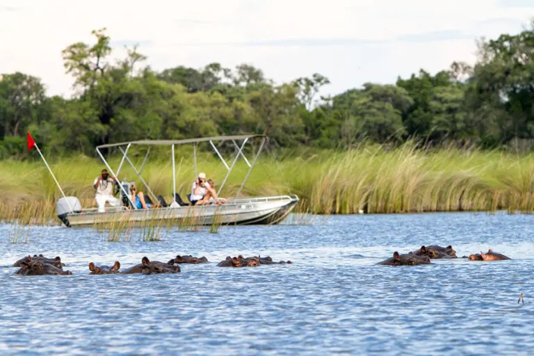 CampMoremi Activity CanoeBoat