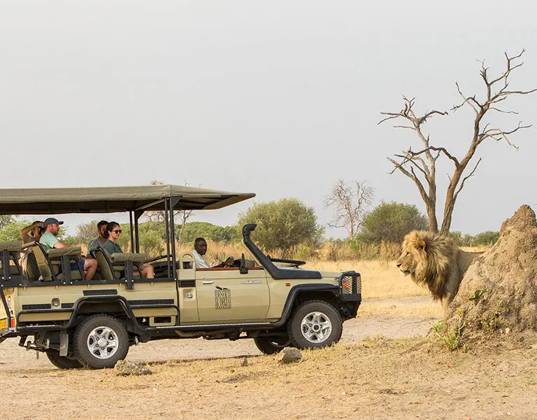 Savute Safari Lodge savute game drive 62