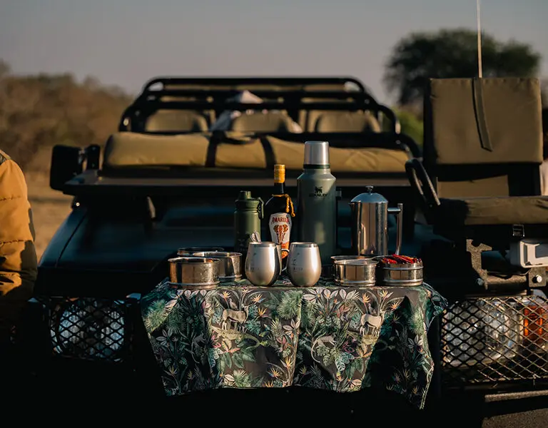 Simbambili game drive morning coffee