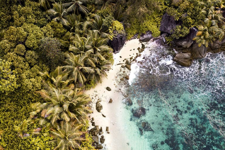 Ephelia seychelles aerial
