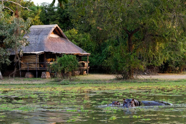 Mfuwelodge 017