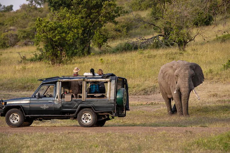 A Kicheche vehicle stopped beside an elephant in the Mara