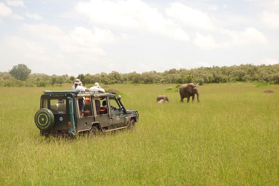 A safari vehicle with elephants on a drive in the Masai Mara