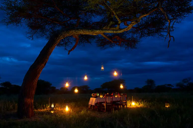 KasKazMaraCamp Dining BushDinner