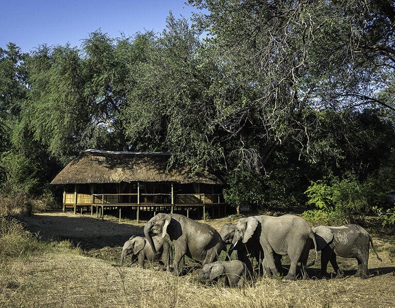 Bilimungwe 4