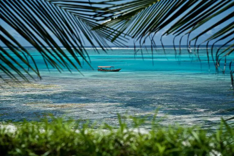 Zawadi Hotel Views