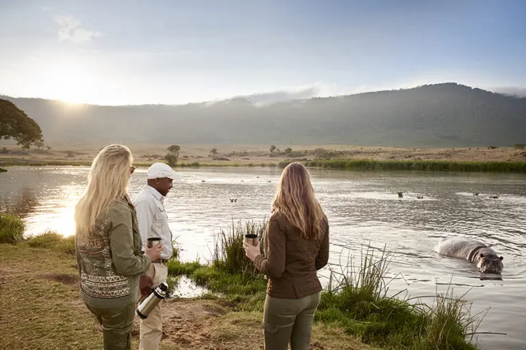 NgorongoroCraterCamp wildlife viewing