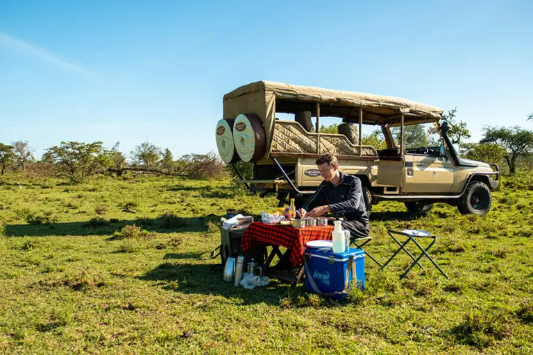 Picnic in conservancy