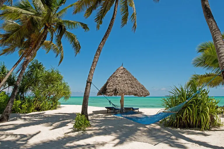 Pongwe zanzibar 2 a header 1