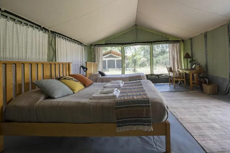 Porini Lion Camp 3