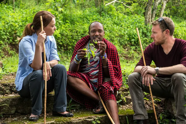 Gibbs Farm Guided walk through coffee plantations