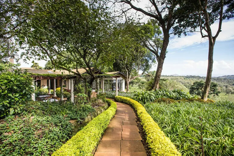 Gibbs Farm Pathway to the dining room 1