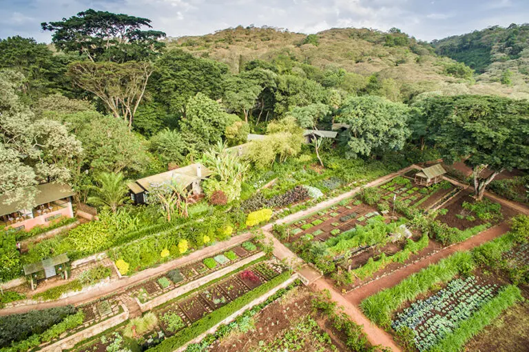 Gibbs Farm Arial view of Gibb s Farm