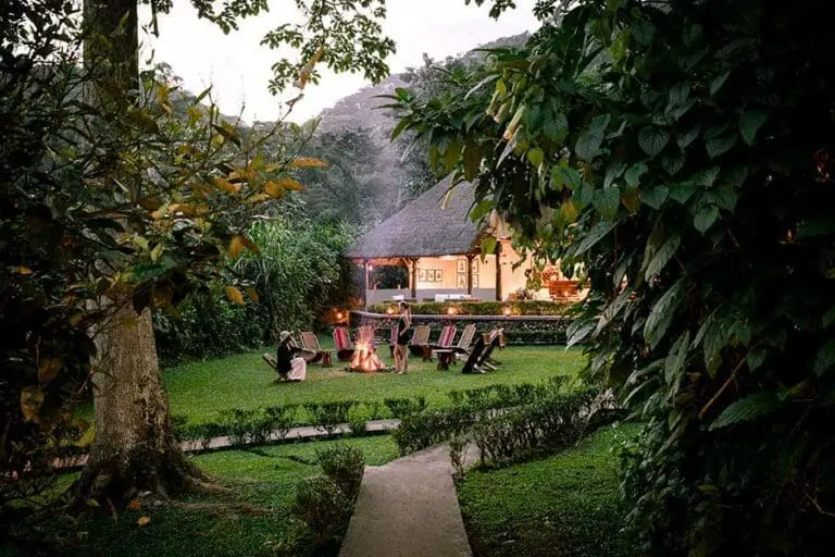 The firepit at Sanctuary Gorilla Forest Camp