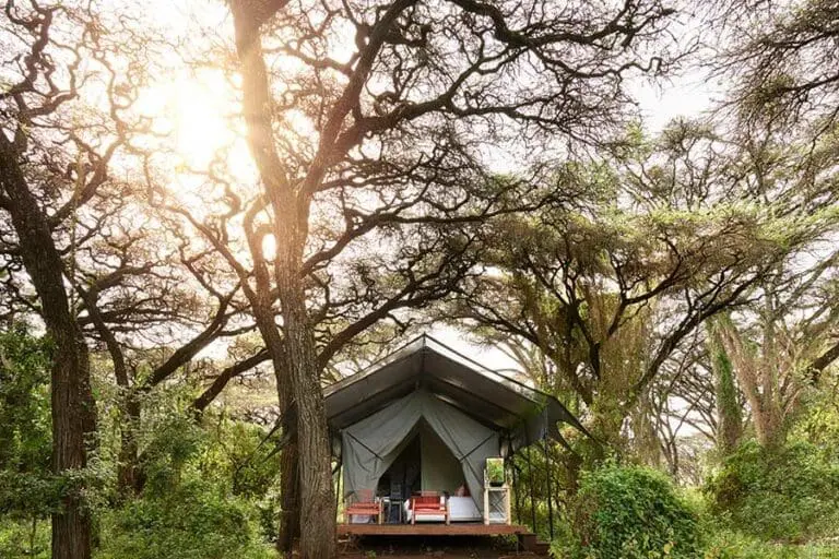 Sanctuary Ngorongoro Crater Camp tent exterior