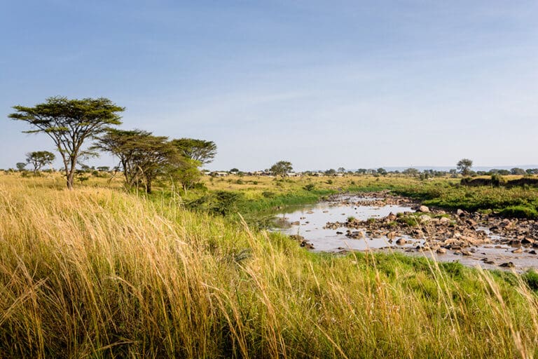 SINGITA MARA RIVER TENTED CAMP Mara river