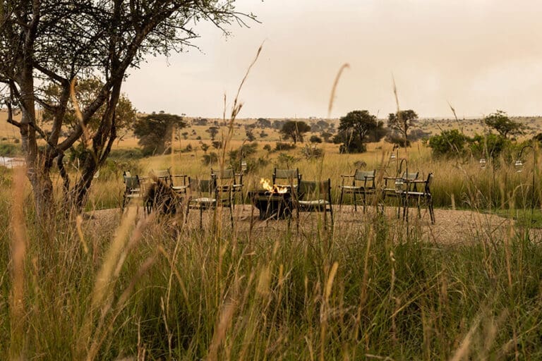 Singita Mara River Tented Camp Boma Emma Jackson 5 1 scaled 1