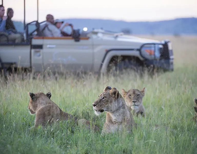 Singita Sasakwa Lodge Wildlife