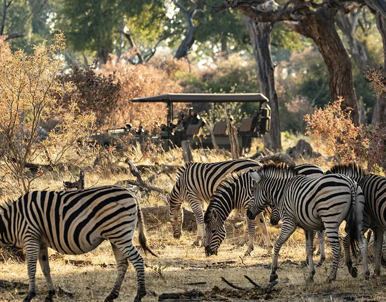 Kings Pool Wilderness game drive