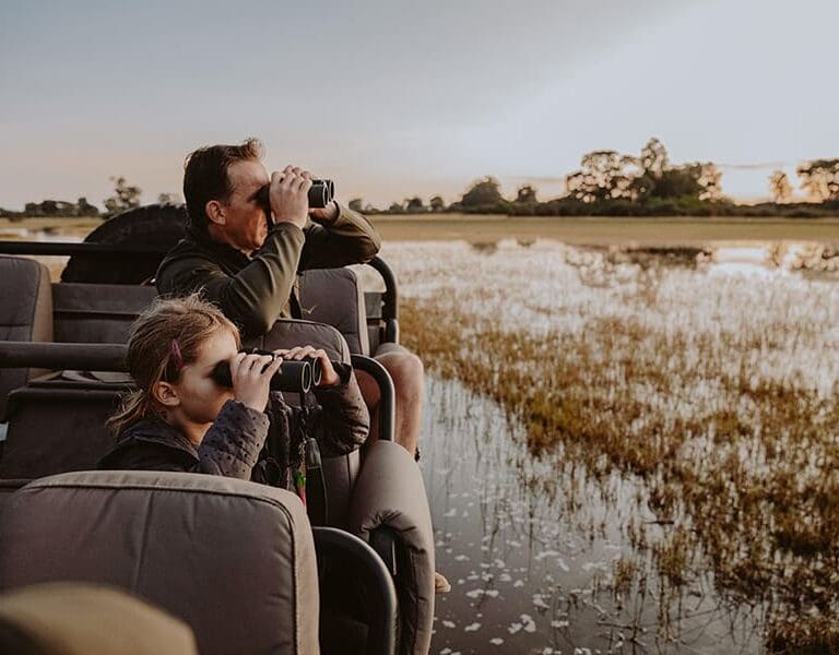 Vumbura Plains Botswana Wilderness Safaris gamedrive vumburaplains tcunniffe fe 008