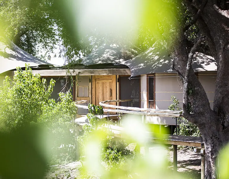WIlderness Mombo Camp Suite external