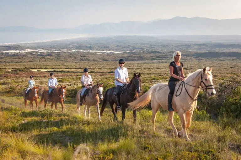 Web grootbos experience horse riding reserve 02