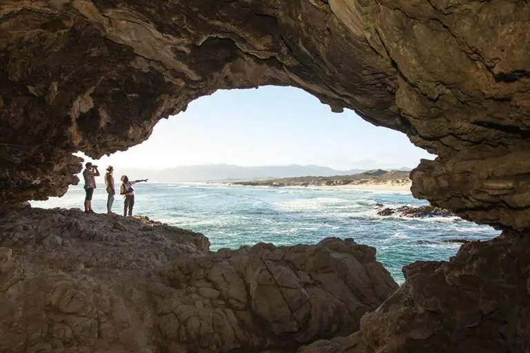Web grootbos experience coastal safari caves 101