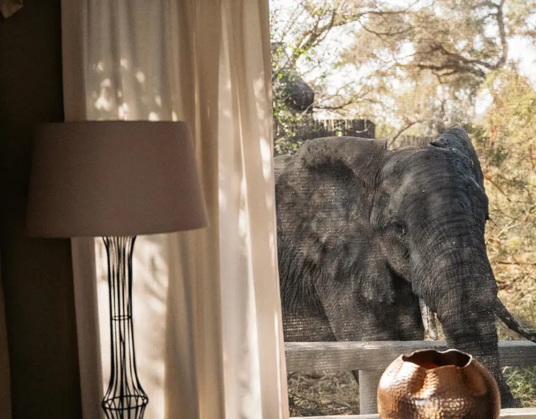 Simbavati River Lodge 1