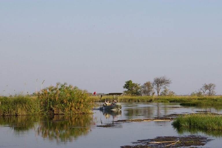 Camp Okuti boat safaris