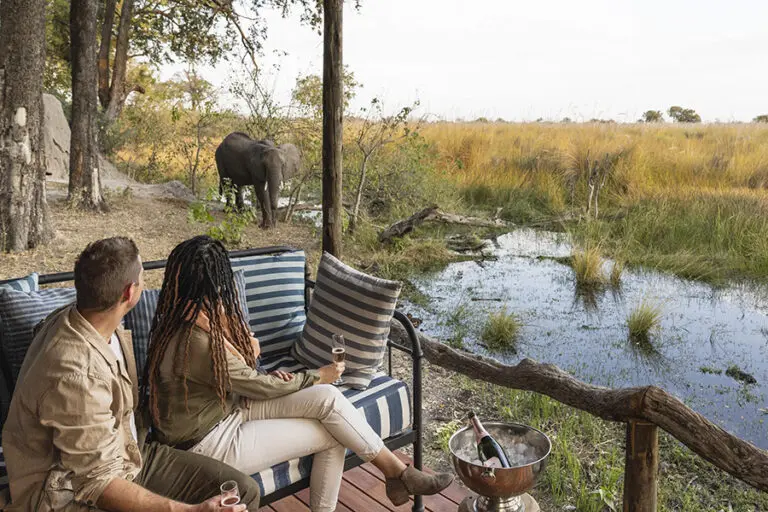 Shinde Fotsteps Across the Delta armchair safari from Tent