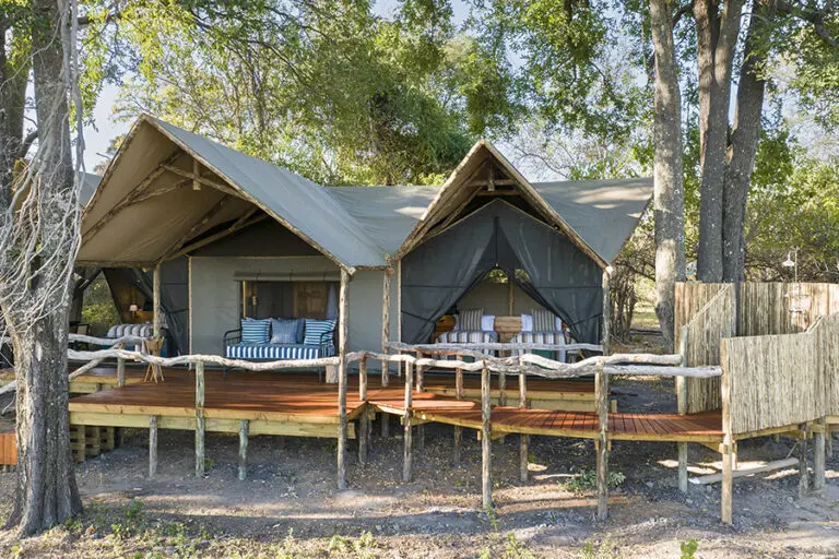 Shinde Fotsteps Across the Delta Family Tent 1