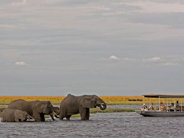 Day4 5 Chobe