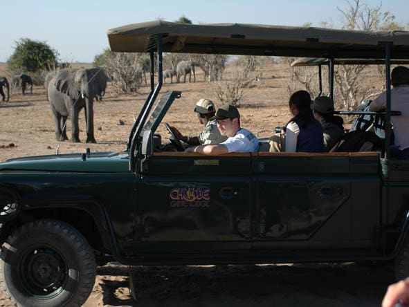 Day4 5 ChobeSafari