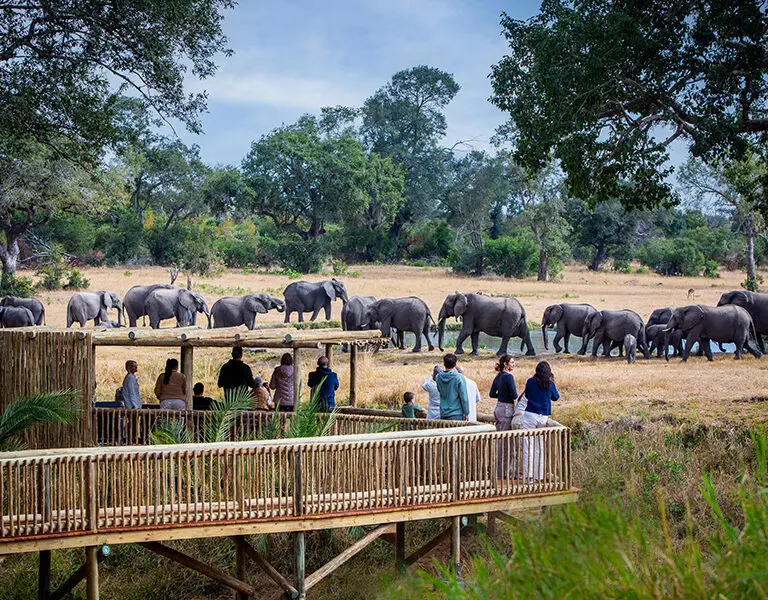 Sabi Sabi Bush Lodge Sabi Sands Kruger South Africa Loon s Lounge