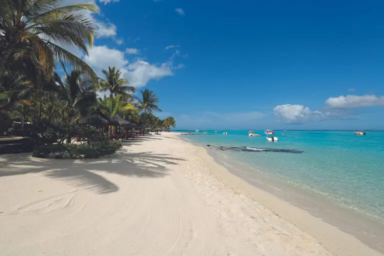 Paradis Beachcomber 2