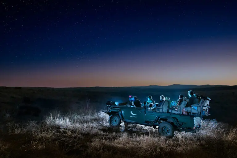 Andbeyond night eye at phinda