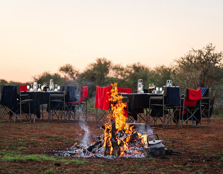 Jacis Private Lodge Madikwe Jacis Experience 11