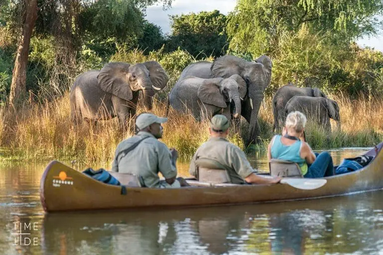 Time Tide Lower Zambezi Activites 9 scaled 1