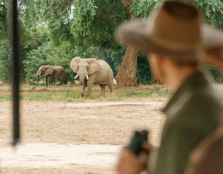 Time Tide Chongwe House Zambia Lower Zambezi Game Drive Chongwe House © Oliver Fly Photography 78