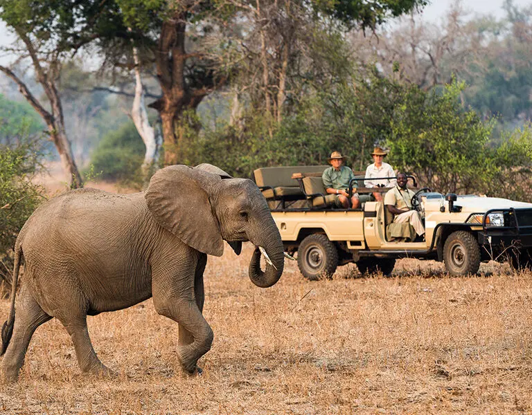 Robins House Zambia South Luangwa 16