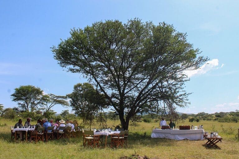 Tassa Lodge bush dining 1