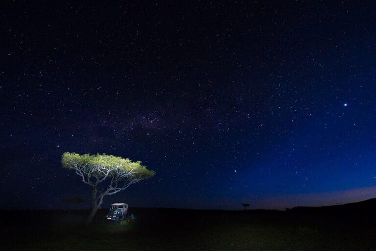 Tassa Lodge night drive1 1
